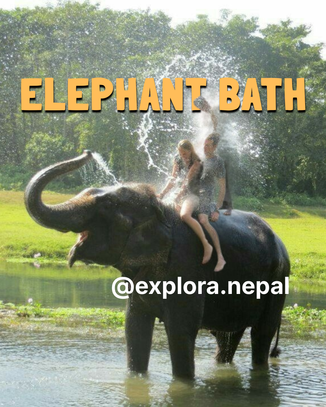 Enjoy elephant bath in Chitwan as part of our premium experiences in Nepal tour packages.
