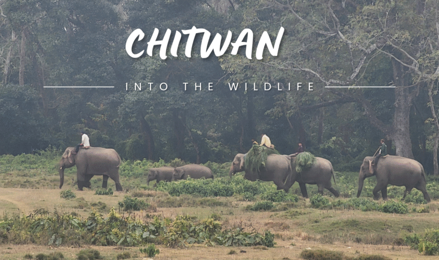 Explore Nepal's UNESCO World Heritage Sites – A Luxury Traveler’s Journey 1 Explore Nepal’s UNESCO World Heritage Sites – A Luxury Traveler’s Journey