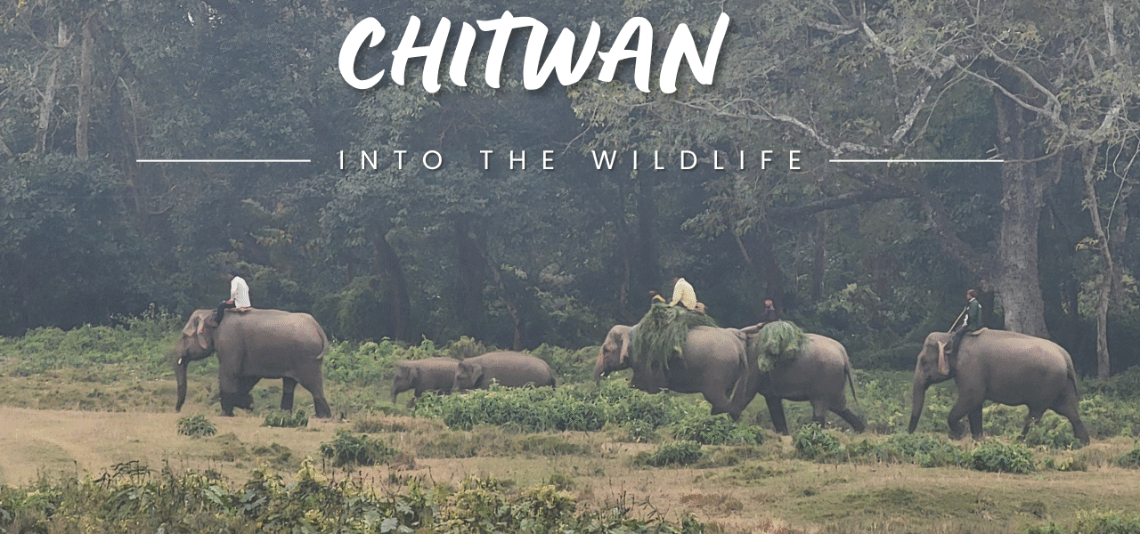 Canoe Ride in the Rapti River, a perfect way to start your wildlife safaris.